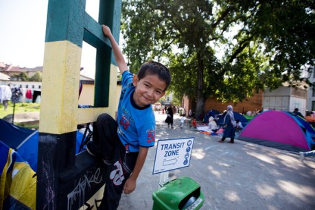 Fotó: Tuba Zoltán, Index